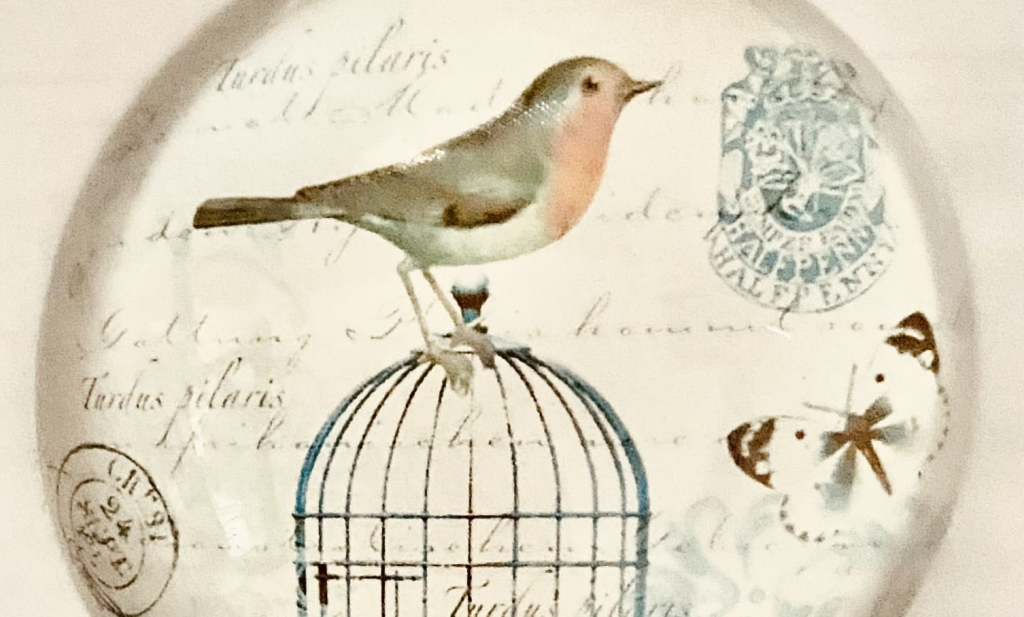 Medidas de apoyo a personas con discapacidad ¿Cuáles son y en qué consisten?